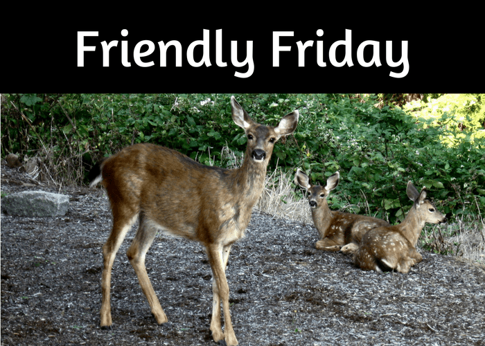 One man’s love letter to romance authors and&nbsp;readers